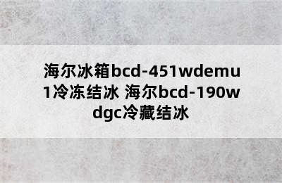 海尔冰箱bcd-451wdemu1冷冻结冰 海尔bcd-190wdgc冷藏结冰